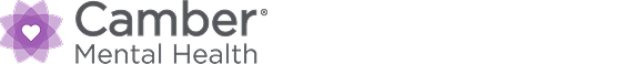 Camber HubSpot footer logo