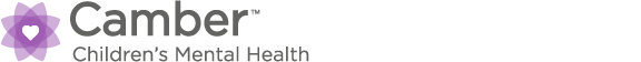Camber HubSpot footer logo